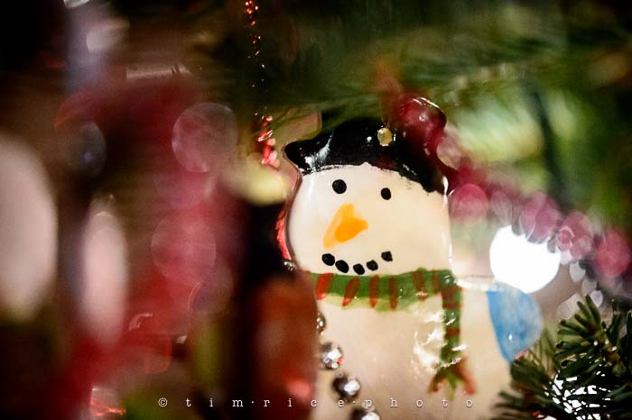 Yr6•075/365•1901 Snowman Hand Painted December 14, 2014