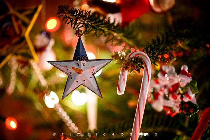 Yr6•075-365•1901•Snowman Hand Painted