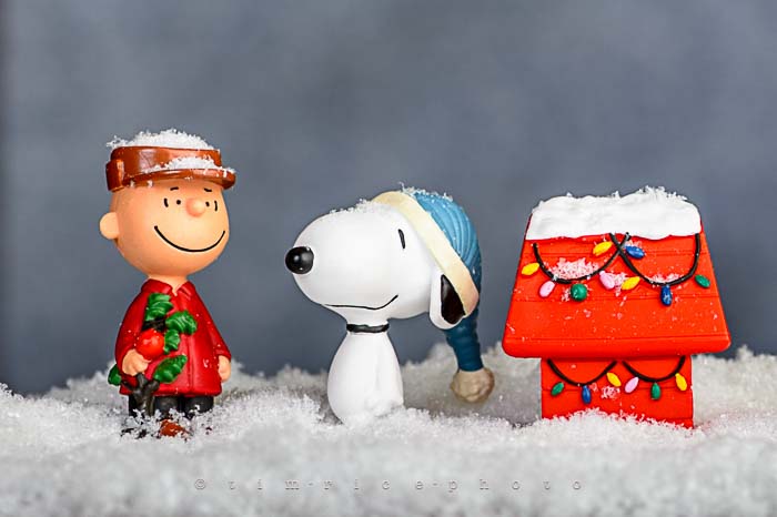 Yr6•078/365•1904 A Charlie Brown Christmas December 17, 2014