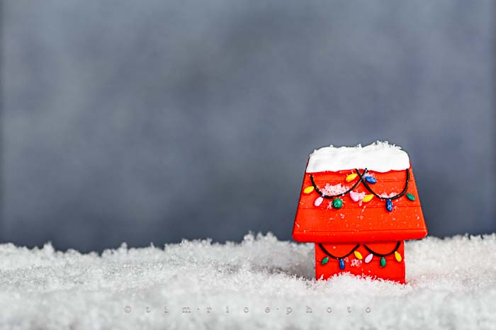 Yr6•078-365•1904•A Charlie Brown Christmas