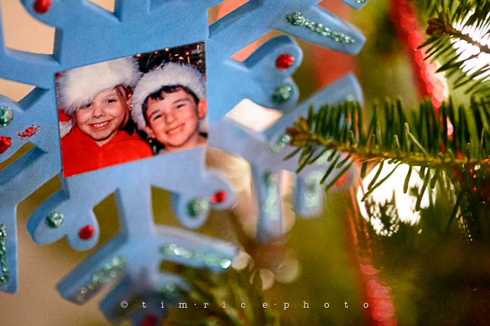 Yr6•079-365•1893•Family Tree