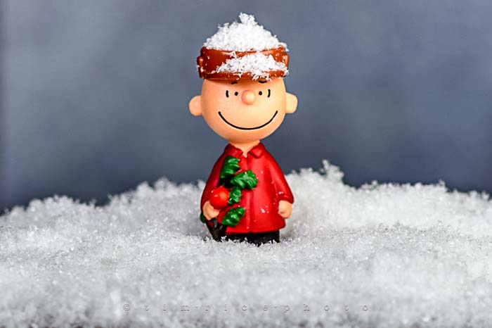 Yr6•079-365•1904•A Charlie Brown Christmas