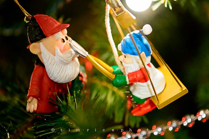 Yr6•082-365•1893•Family Tree