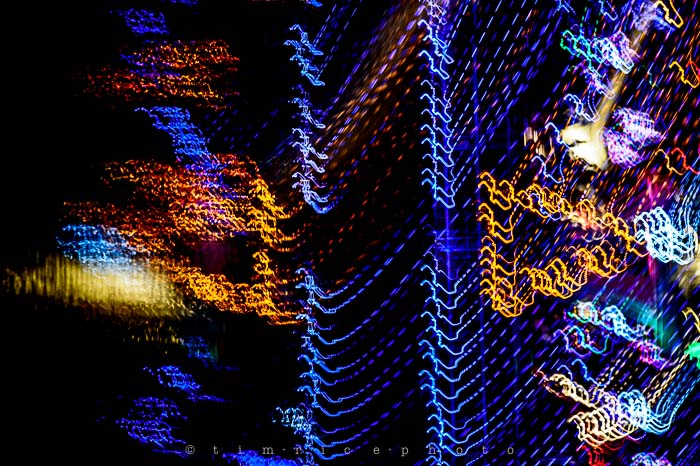 Yr6•082-365•1908•La Salettes Christmas Tree