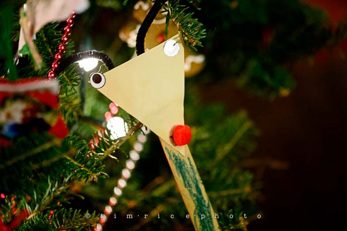 Yr6•083-365•1893•Family Tree