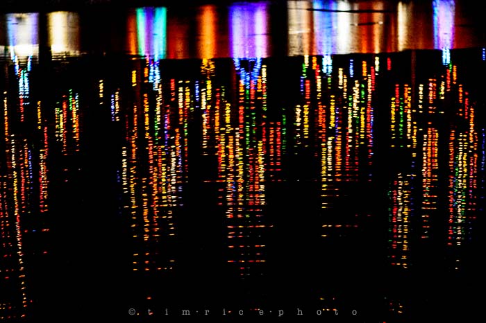 Yr6•083-365•1908•La Salettes Christmas Tree