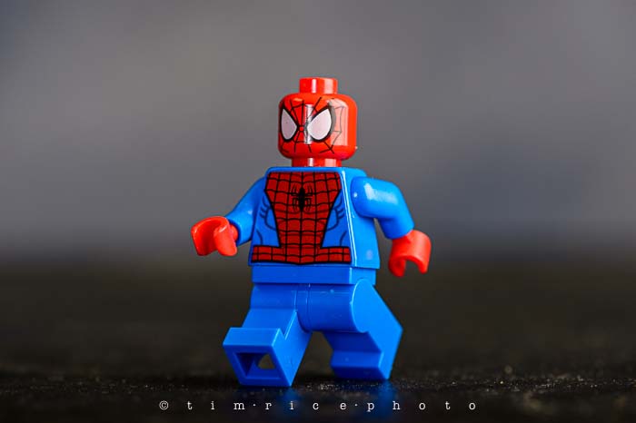 Yr6•084-365•1900•Spider-man in the City