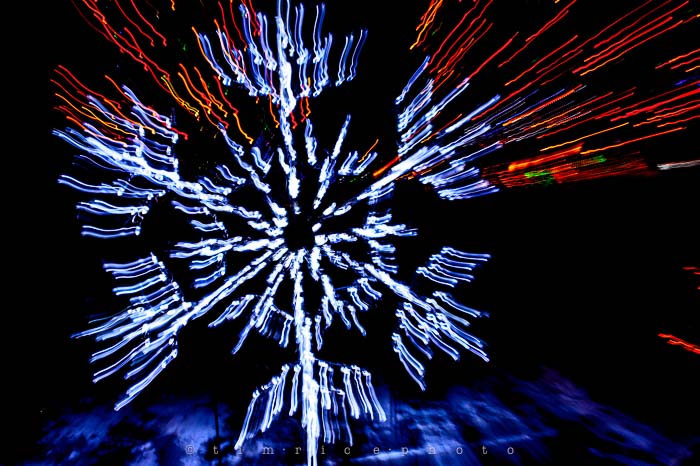 Yr6•084-365•1908•La Salettes Christmas Tree