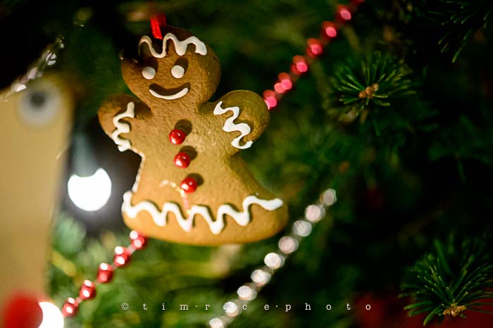 Yr6•085-365•1893•Family Tree