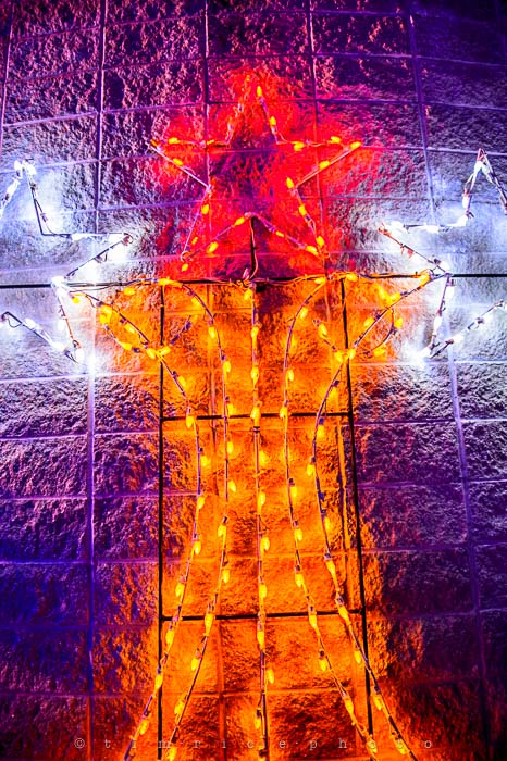 Yr6•085-365•1908•La Salettes Christmas Tree