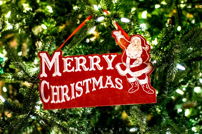 Yr6•085/365•1911 Merry Christmas December 24, 2014