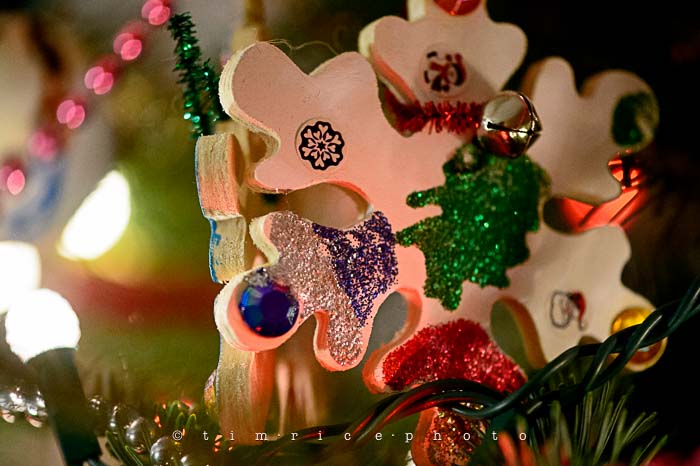 Yr6•087-365•1893•Family Tree