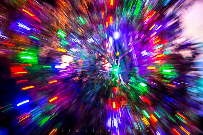 Yr6•087-365•1908•La Salettes Christmas Tree