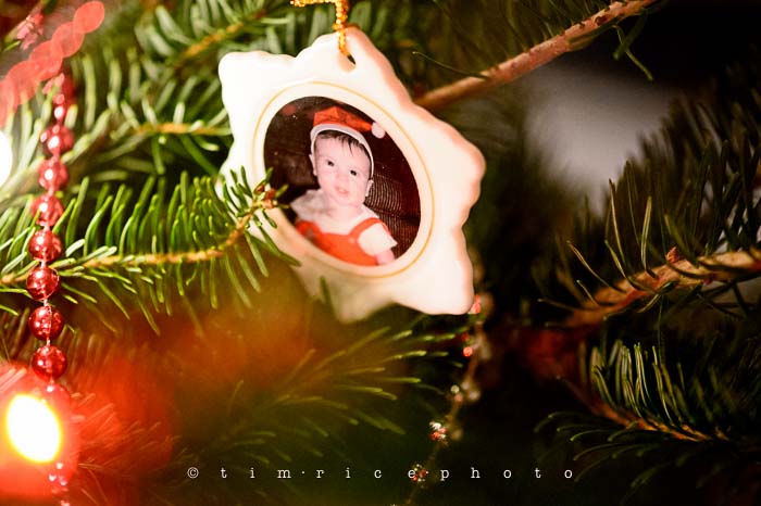 Yr6•088-365•1893•Family Tree