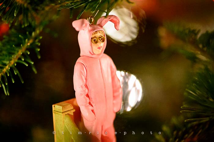 Yr6•089-365•1893•Family Tree