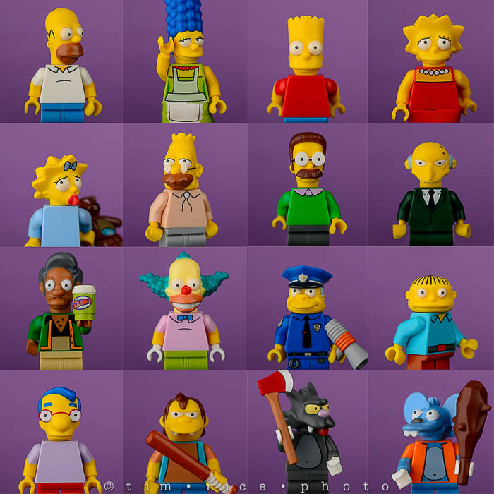 Yr6•089/365•1915 The Springfield Gang December 28, 2014