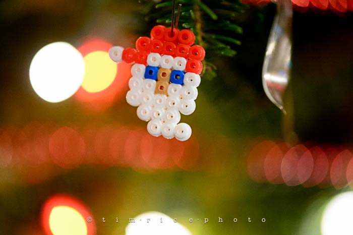 Yr6•090-365•1893•Family Tree