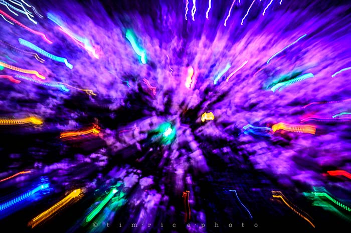 Yr6•090-365•1908•La Salettes Christmas Tree