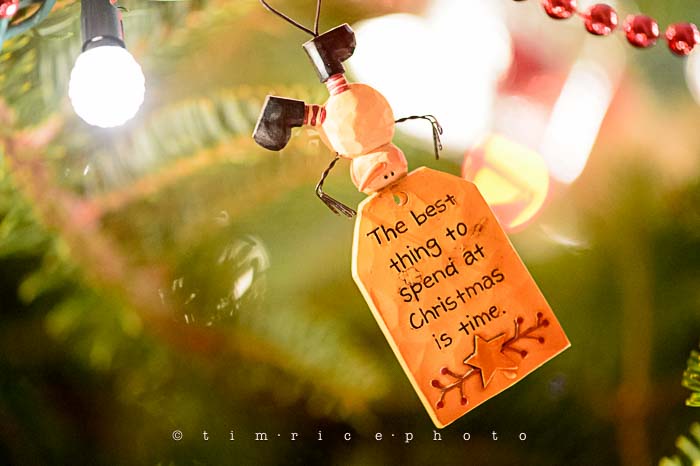 Yr6•091-365•1893•Family Tree