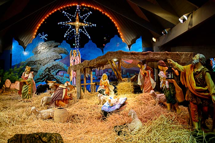 Yr6•091-365•1908•La Salettes Christmas Tree