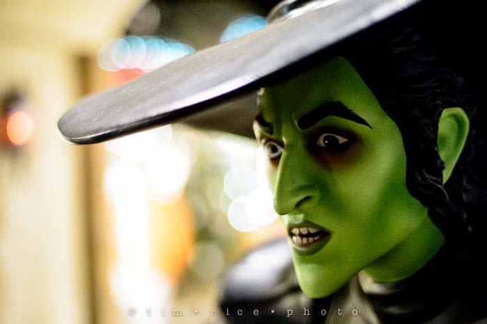 Yr6•091-365•1911•Merry Christmas