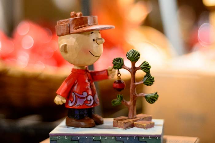 Yr6•092-365•1911•Merry Christmas