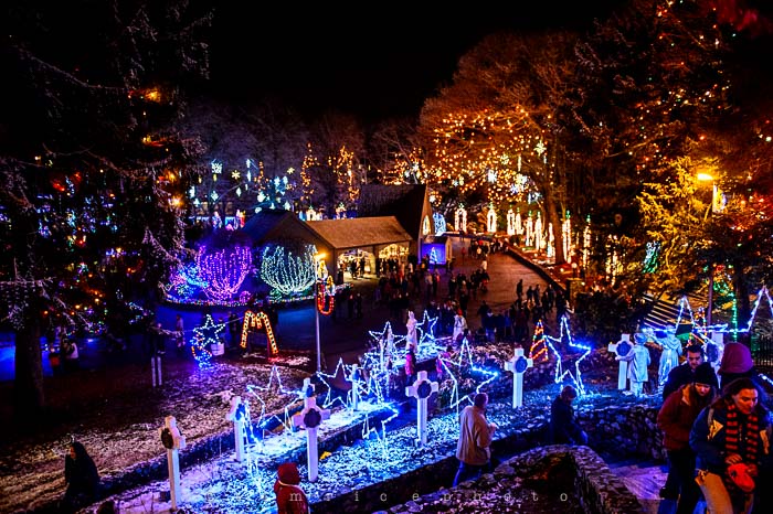 Yr6•093-365•1908•La Salettes Christmas Tree