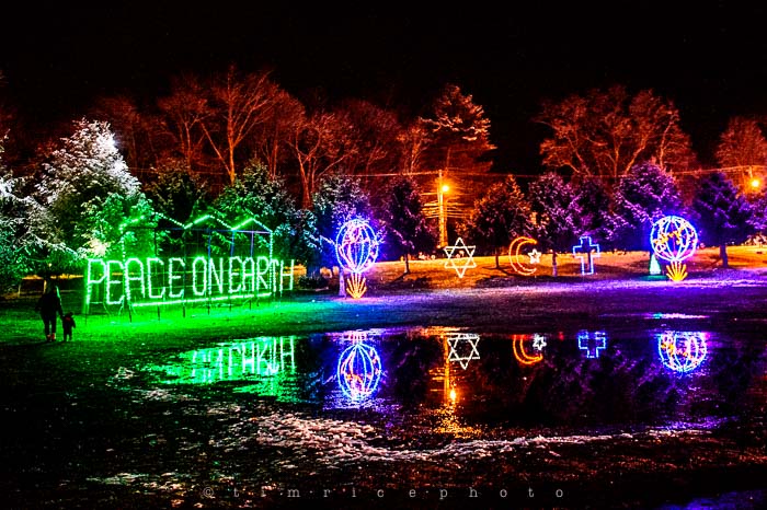 Yr6•094-365•1908•La Salettes Christmas Tree