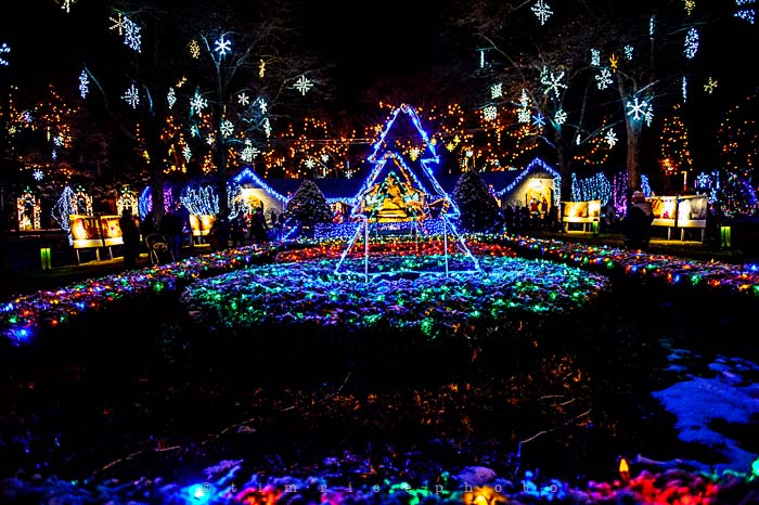 Yr6•095-365•1908•La Salettes Christmas Tree