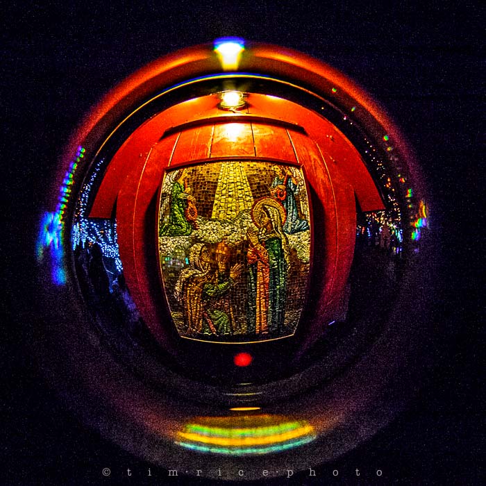 Yr6•096-365•1908•La Salettes Christmas Tree