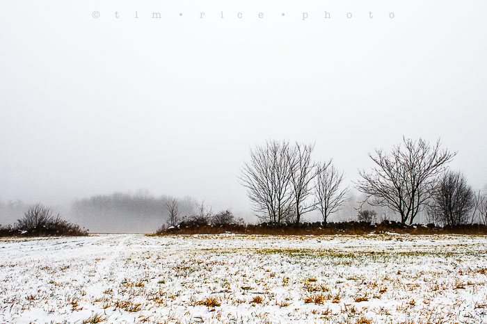 Yr6•096-365•1922•The Dusted Field