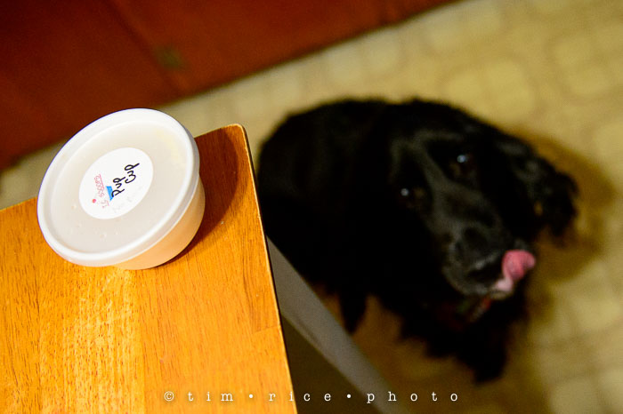 Yr6•109-365•1935•Defiant-3