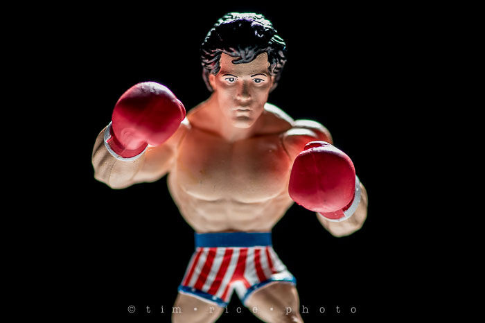 Yr6•114-365•1939•Rocky