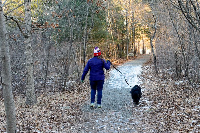 Yr6•115-365•1935•Defiant