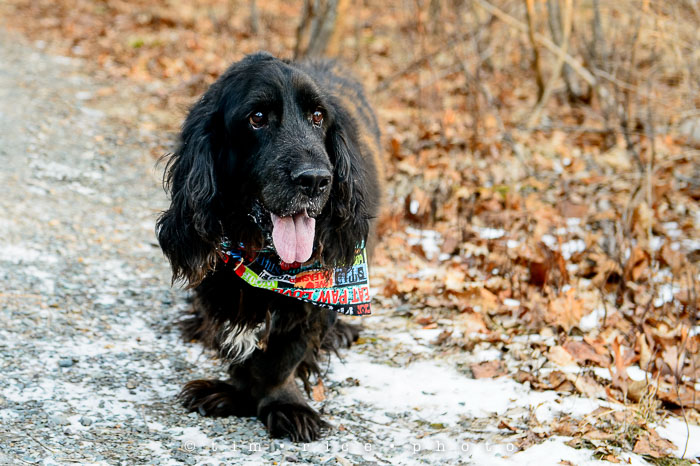 Yr6•116-365•1935•Defiant