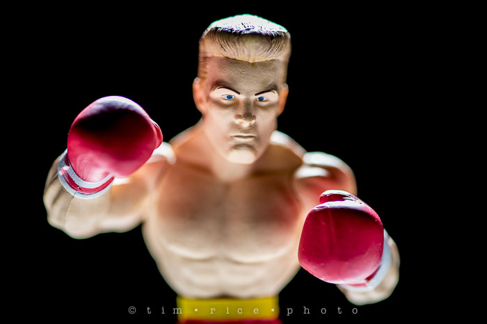 Yr6•116-365•1939•Rocky