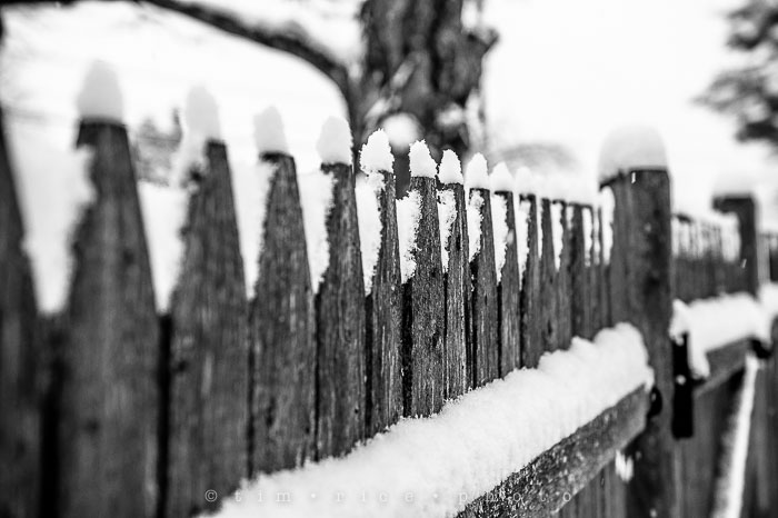 Yr6•116-365/1942 Snow Caps January 24, 2015