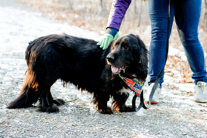 Yr6•117-365•1935•Defiant