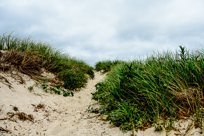 Yr6•119-365•1921•The Man in th Alley