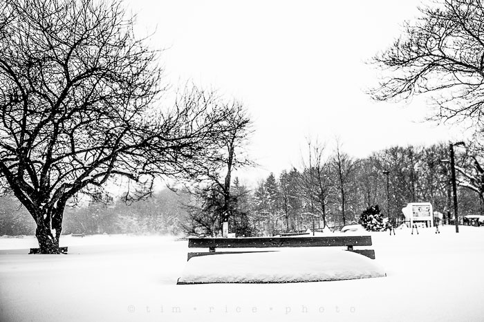 Yr6•119/365•1945 Park in Snow January 27, 2015