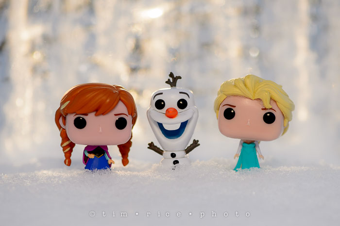 Yr6•122/365•1948 The Frozen Three January 30, 2015