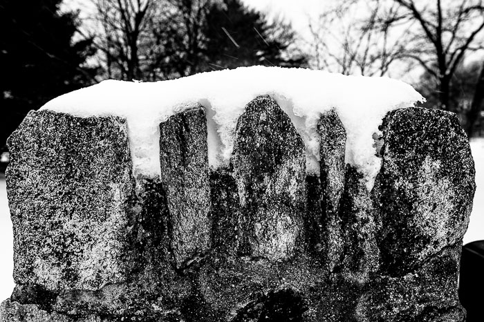Yr6•124-365•1945•Park in Snow