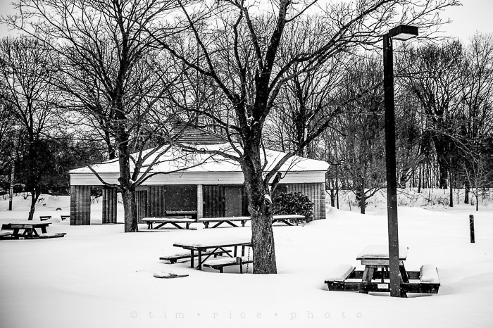 Yr6•126-365•1945•Park in Snow