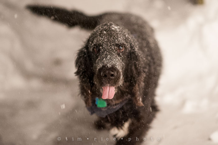 Yr6•127-365•1937•Peace