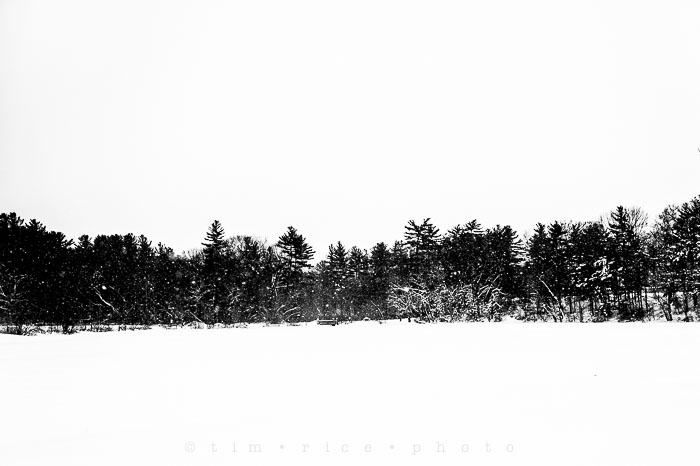 Yr6•129-365•1945•Park in Snow
