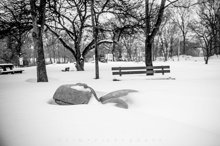 Yr6•130-365•1945•Park in Snow