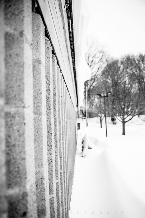 Yr6•131-365•1945•Park in Snow