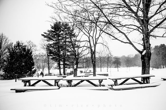 Yr6•132-365•1945•Park in Snow