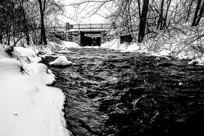 Yr6•137-365•1945•Park in Snow