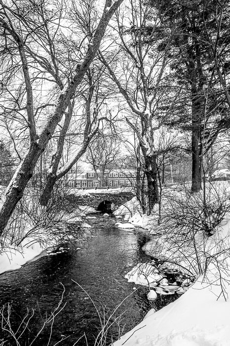 Yr6•138-365•1945•Park in Snow